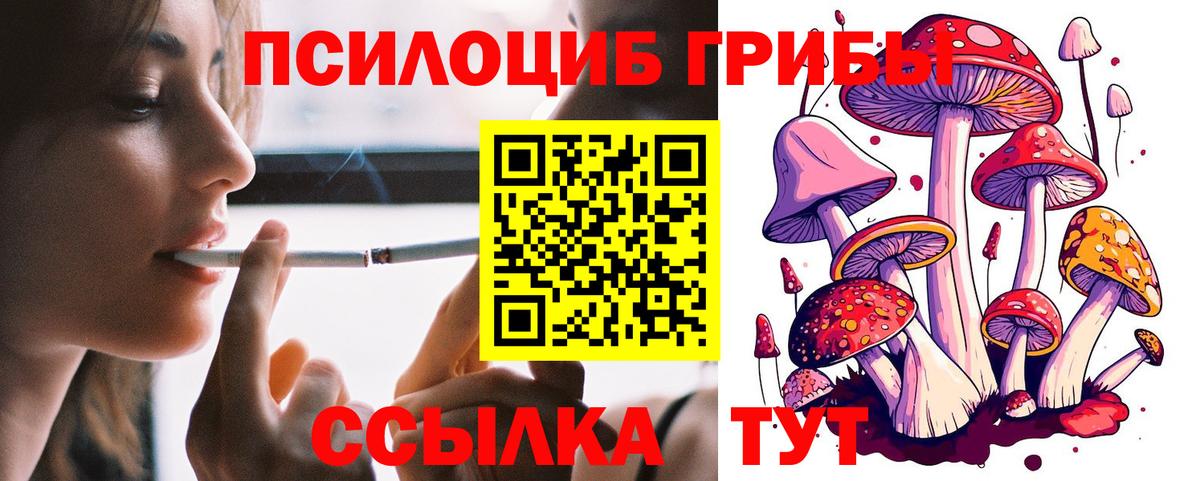 Дзержинск  Галлюциногенные грибы GOLDEN TEACHER  Вход с VPN 